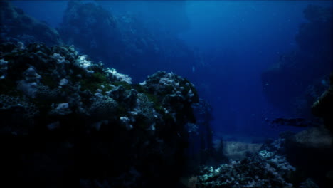 paisaje de arrecifes de coral submarinos