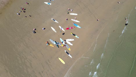 Antena-De-Arriba-Hacia-Abajo-De-Los-Surfistas-De-Remo-Que-Se-Reúnen-En-La-Playa-Para-Un-Evento-De-Carreras