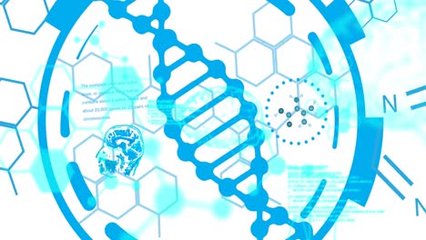 animation of scientific data processing over dna strand spinning