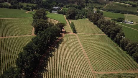 panorama of winelands in the rural town of constantia, cape town, south africa