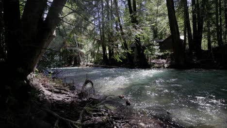 Fast-flowing-river-in-green-forest-with-cabin