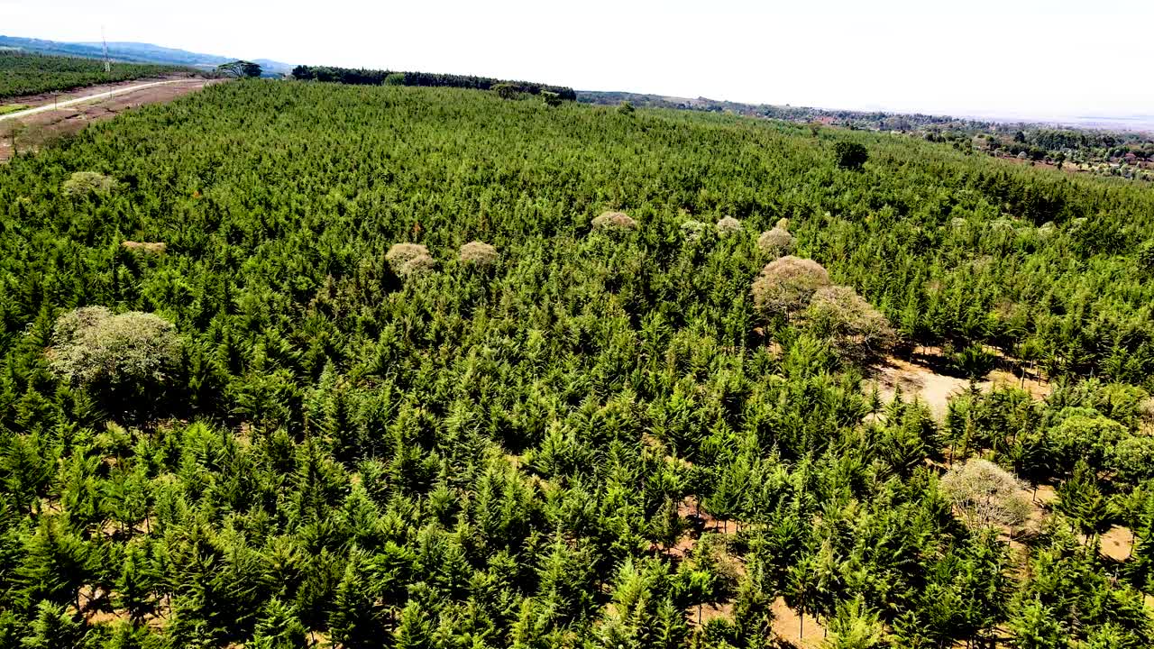 visión del avión no tripulado- áfrica bosque- áfrica incendio de matorrales