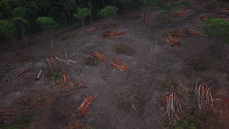 Drone flies backwards revealing cleared eucalyptus area and sparse trees in dry New South Wales land