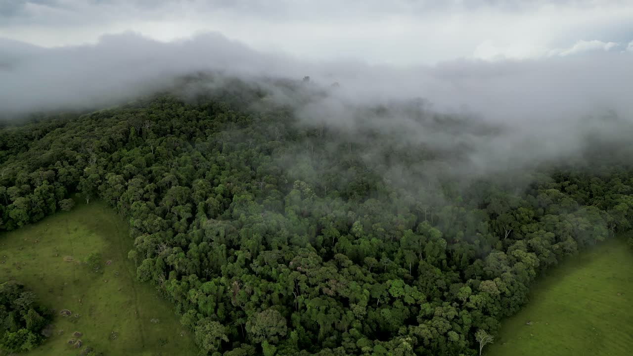 bird eye view of a forest in the mountains covered by a dense foggy during a winter cold day - Southeast of Minas Gerais - Serra da Mantiqueira - Brazil