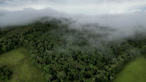 bird eye view of a forest in the mountains covered by a dense foggy during a winter cold day - southeast of minas gerais - serra da mantiqueira - brazil