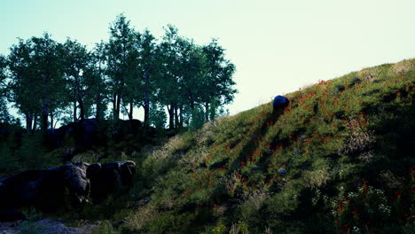 Wunderschöne-Panoramalandschaft-Des-Pyrenäen-Gebirgstals