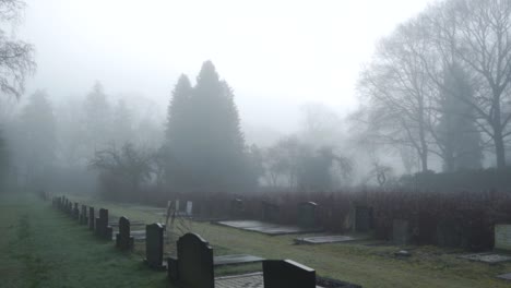 foggy cemetery scene