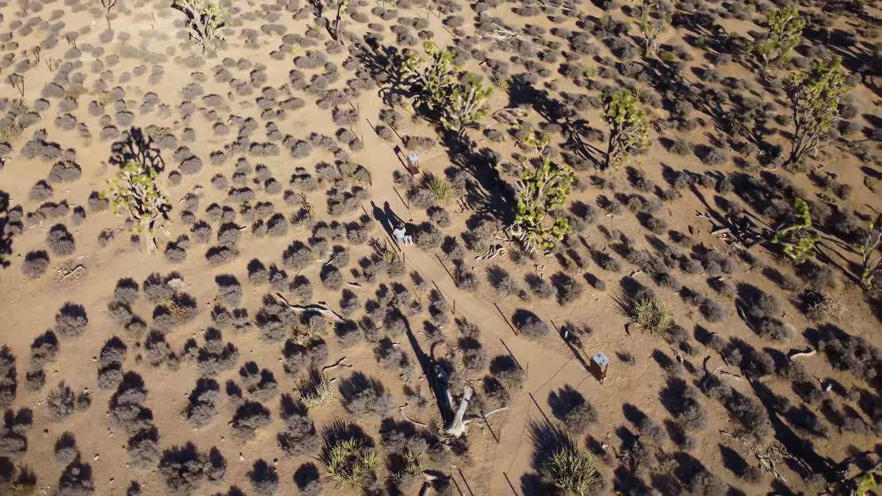 туристы идут по тропе в национальном парке джошуа три, вид с воздуха пустынный пейзаж калифорния