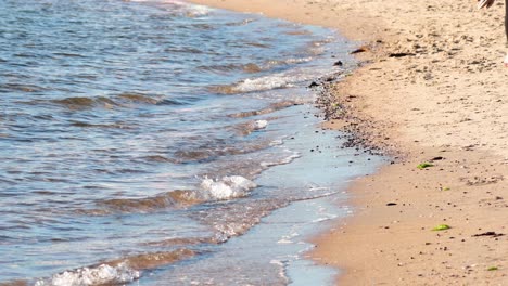 waves gently lapping the sandy shore