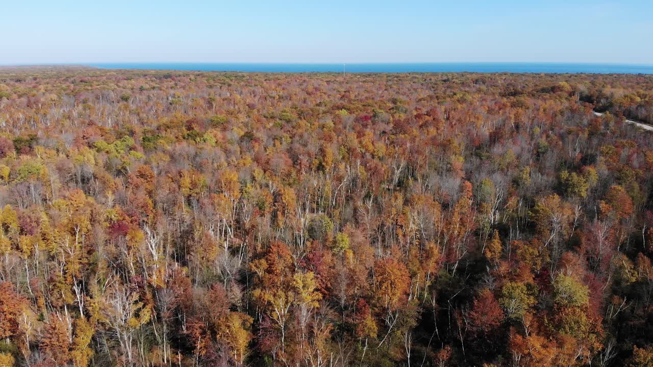 una vista aérea de alto ángulo del follaje otoñal de michigan