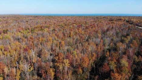 Una-Vista-Aérea-De-Alto-ángulo-Del-Follaje-Otoñal-De-Michigan