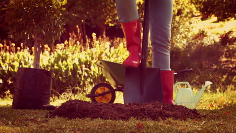 woman digging soil for gardening