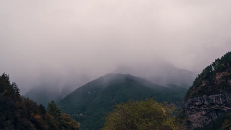 오르데사 국립공원 계곡에서 구름이 많은 비가 내리고 안개가 가득한 겨울 아침에 산꼭대기 위에 구름이 굴러가는 시간