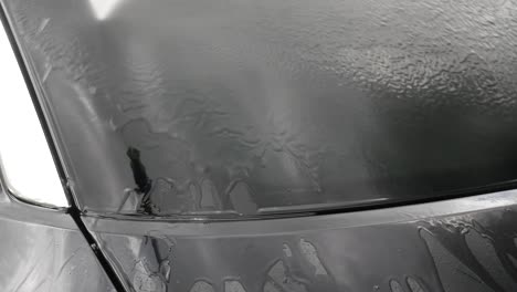 rinsing bird poop from car