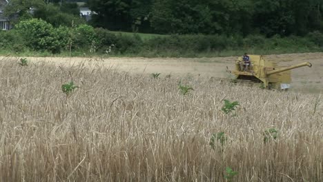 Ein-Mähdrescher-Erntet-Ein-Feld