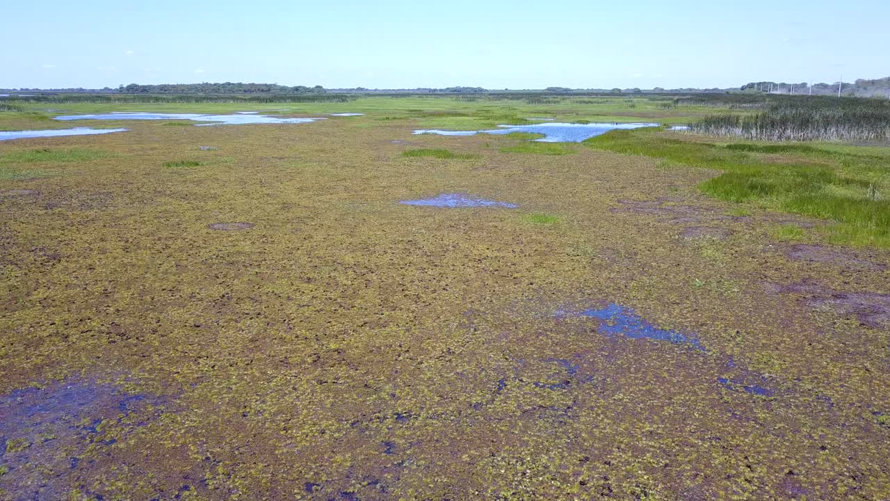 Wetlands of northeast Argentina shooted with drone