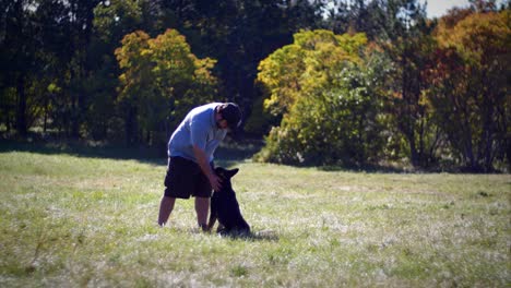 entrenador de perros y pastor alemán