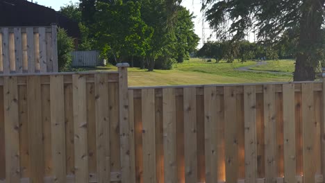 Fence-with-black-squirrel-sitting-on-top-and-then-walking-out-of-frame-with-greenspace-and-people-walking-in-background-on-sunny-day-in-urban-area-in-summer