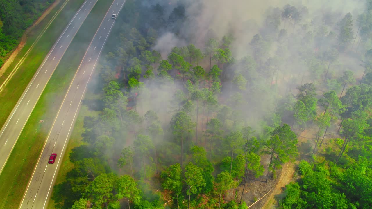 Wildfire spreading through woodland alongside a major roadway, with thick smoke rising as a car travels safely past the danger zone. Near Pelham, Georgia, USA