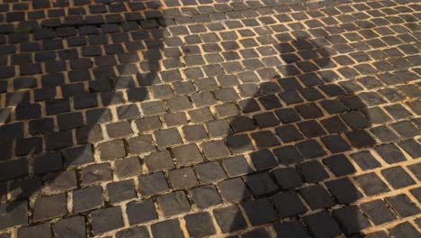 A-man-casting-his-own-shadow-while-standing-on-a-brick-street-pavement-as-other-people-pass-by-casting-their-own-shadows-as-well