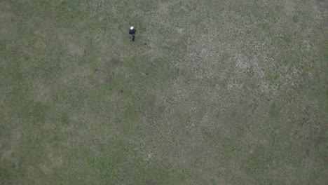 una toma aérea cinematográfica de 4k de personas jugando al frisbee en un parque