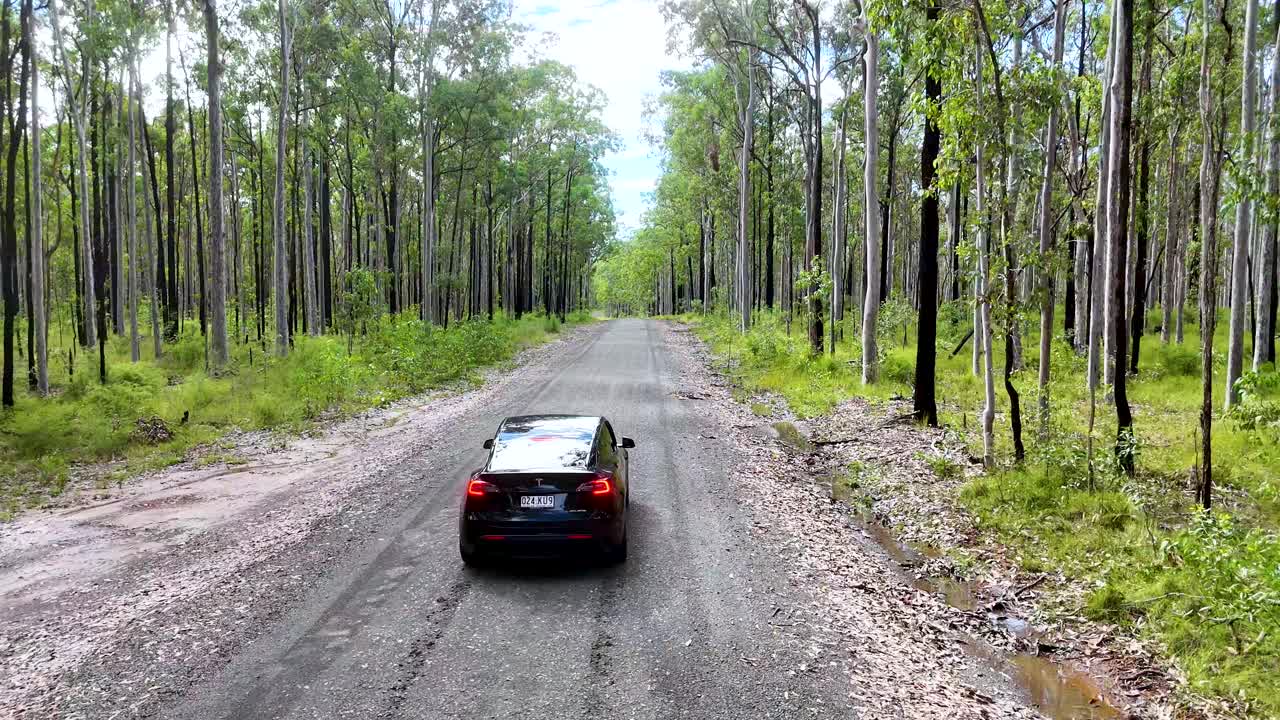 A black car travels along a gravel road through a lush eucalyptus forest in daylight, captured by a smoothly tracking aerial camera with natural lighting
