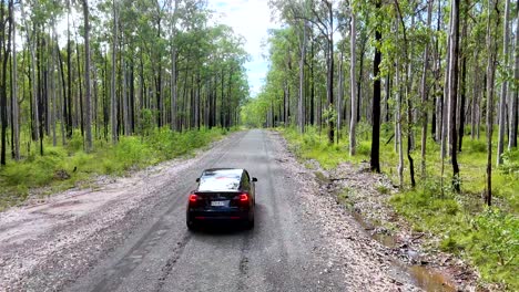 a black car travels along a gravel road through a lush eucalyptus forest in daylight, captured by a smoothly tracking aerial camera with natural lighting