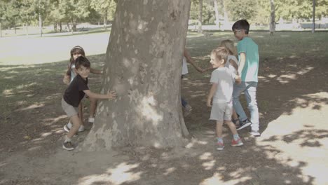 cheerful kids holding hands and round dancing around tree trunk in the city park