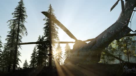 old rusted military helicopter in the mountain forest