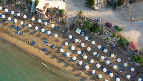 top down aerial zoom out of beds and