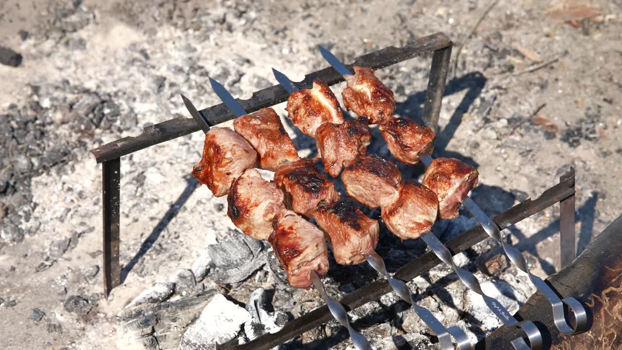 Grilled Kebabs on Skewers