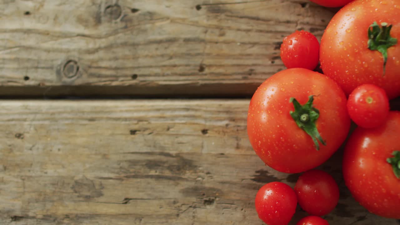 신선한 토마토와 체리 토마토의 비디오 나무 배경 위에 복사 공간과 함께