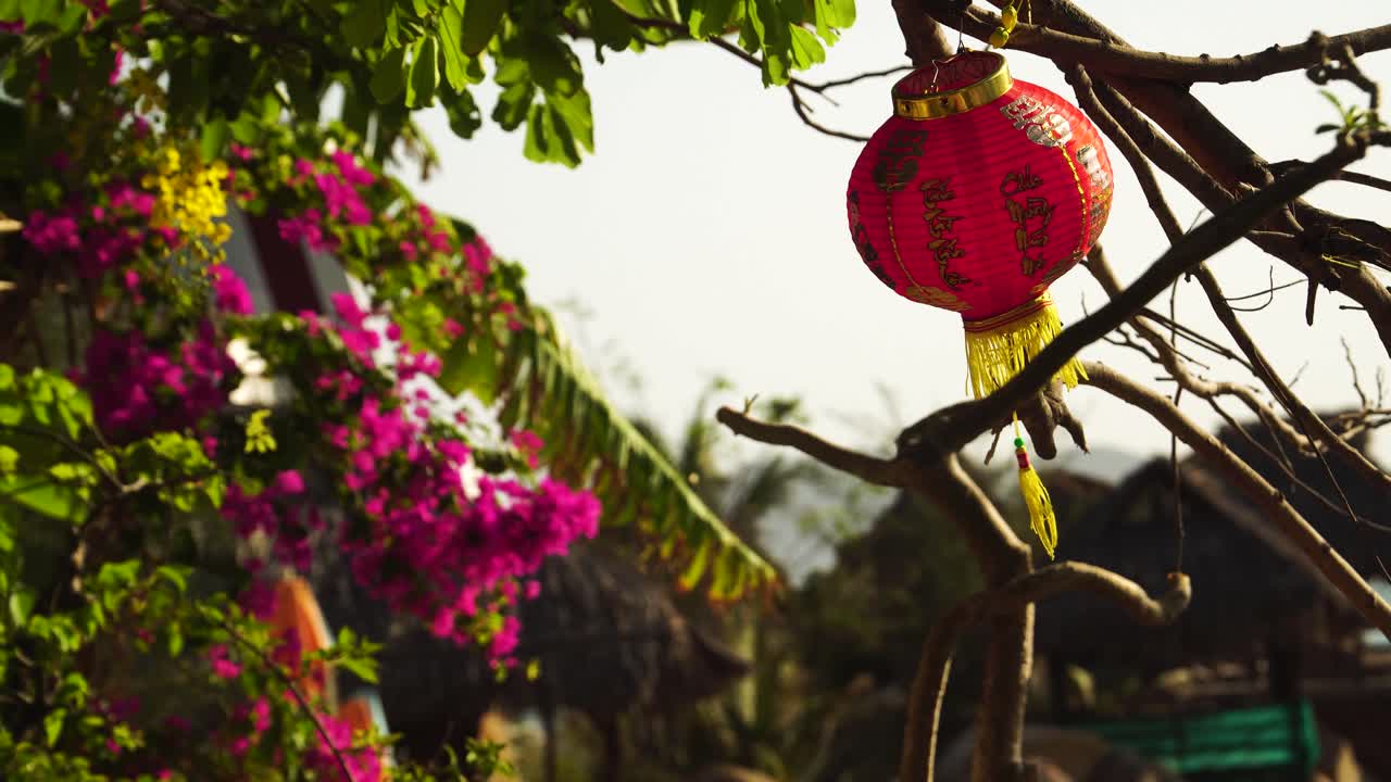 Đèn lồng Tết Nguyên đán truyền thống của Trung Quốc treo trên cây trong vườn đung đưa trong gió nhẹ