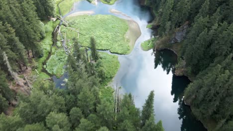 Pan-up-slowly-revealing-an-unspoiled-mountain-lake-surrounded-by-pristine-evergreen-forest,-aerial