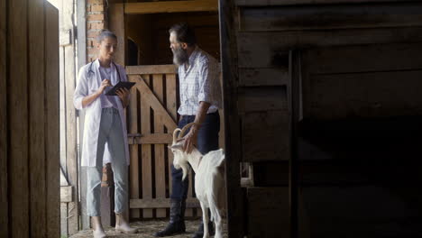 people talking at the stables