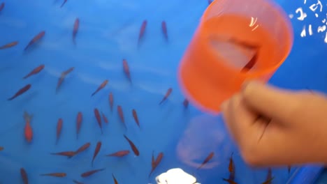juego de pesca de peces dorados