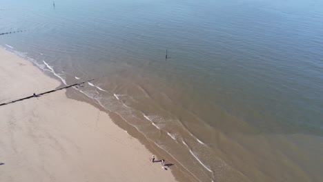 Vista-Aérea-Soleada-Mirando-Hacia-Abajo-Sobre-La-Marea-Costera-De-La-Playa-De-Verano-De-Arena-Dorada-Con-Turistas-Caminando-Debajo