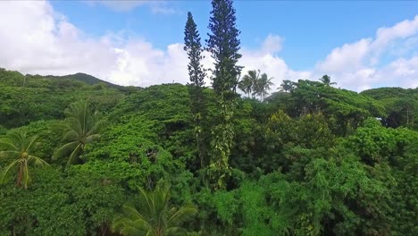 rising aerial view revealing mountains in kaneohe and pacific ocean