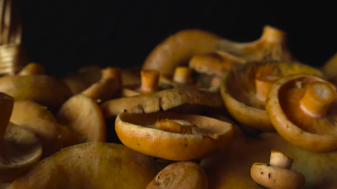 Golden orange and yellow orange milkcap mushrooms in a pile on top of each other close up in front of a black background. Bokeh blurry background, shallow depth of field. Delicacy tasty and delicious