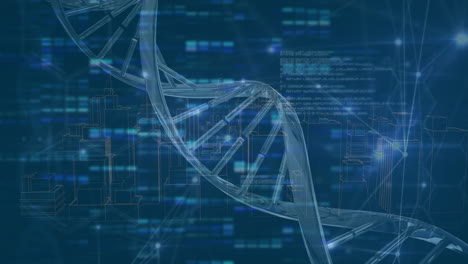 animación digital del giro de la estructura del adn y la red de conexiones contra un fondo azul