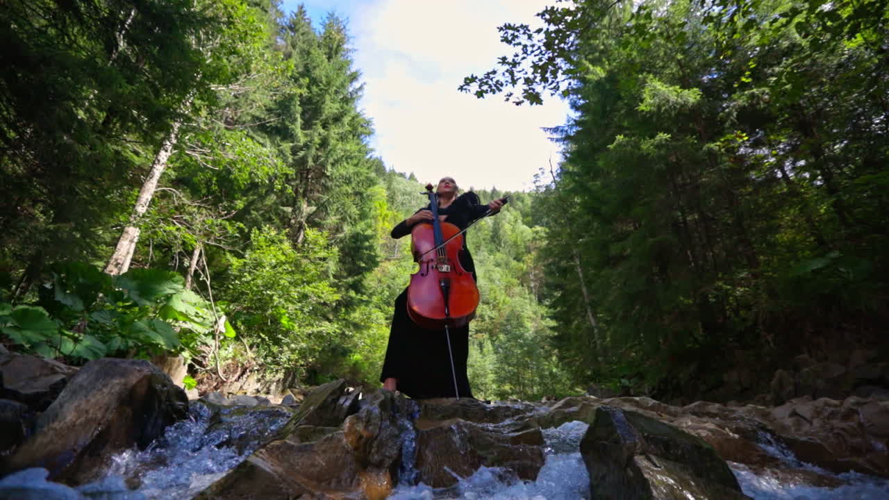 Beautiful lady playing in stringed instrument. Outdoor nature perfomance with musician playing on cello.
