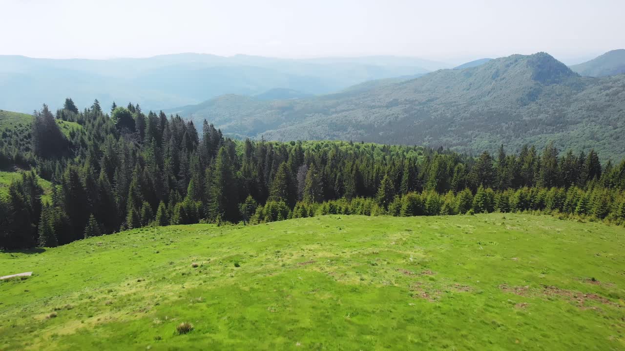 Aerial drone shot of the forest in Bucegi Mountains, Romania
