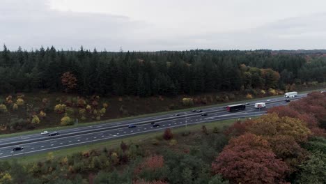 drohnenaufnahme einer autobahn bis hinunter zu den bäumen im herbst