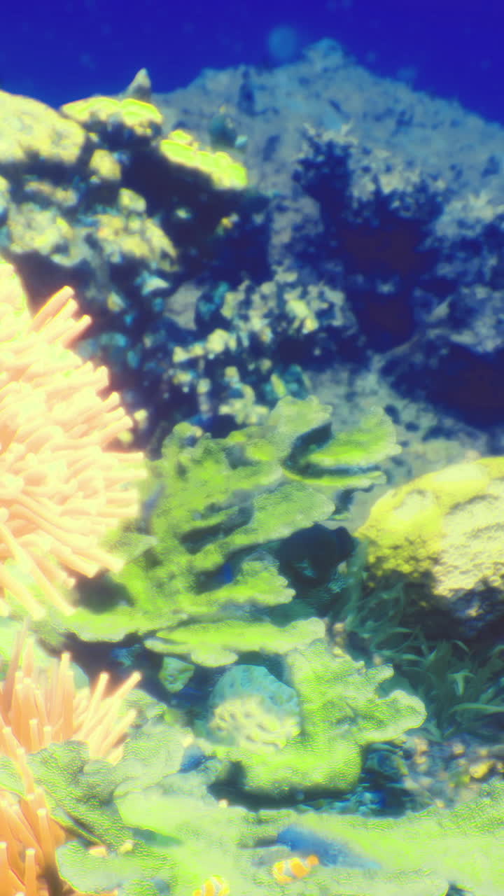 Ecosistema colorato di barriera corallina con vivace vita marina di giorno