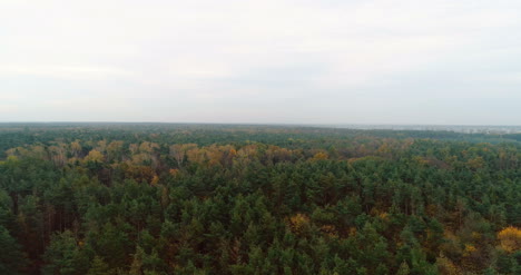 Volando-Sobre-Bosque-Forestal-Desde-Arriba-15