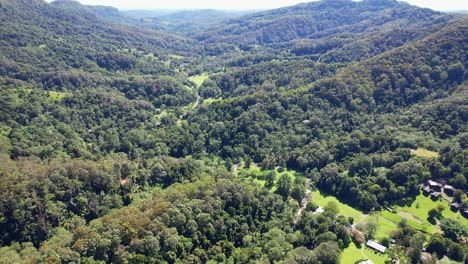 panoramic view over lush green forests in currumbin valley, gold coast, queensland, australia - drone shot