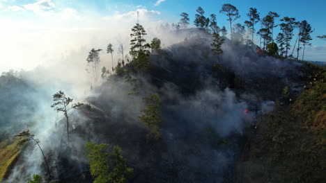 extreme forest wildfire on dominican republic during heatwave season