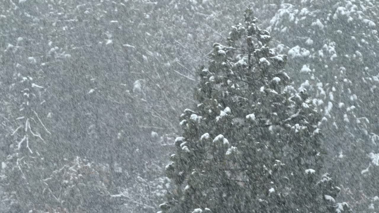A woman strolls through the charming streets of Takayama on a rainy day, her umbrella shielding her from the gentle drizzle.
