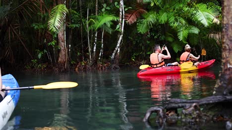 exploring lush canals by kayak in krabi