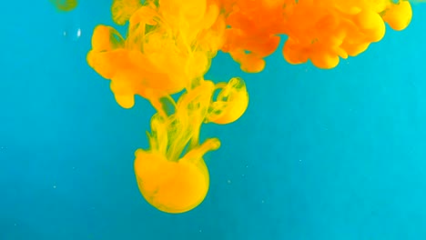 ink in water. colour yellow paint reacting in water creating abstract cloud formations.can be used as transitions,added to modern grunge projects,art backgrounds, anything with creative twist